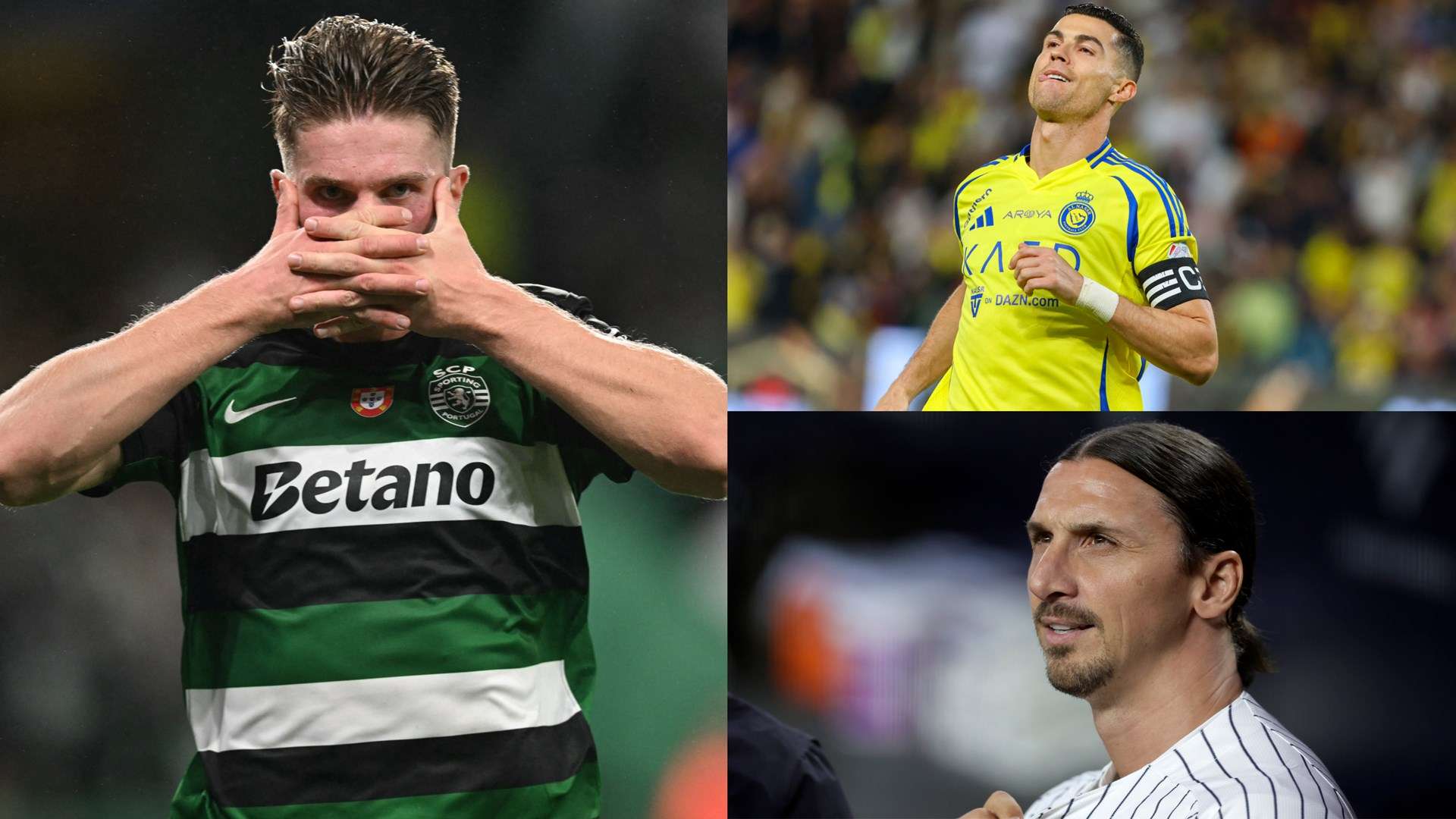 球队可选择 球队可选择